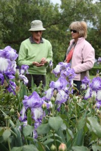 Garden’s $90,000 crop
