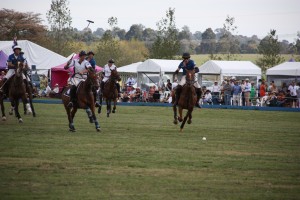 Public primed for polo spectacle