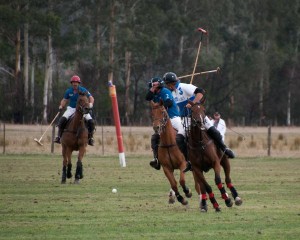 Polo hits the mark