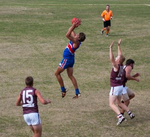 Gembrook bounces back