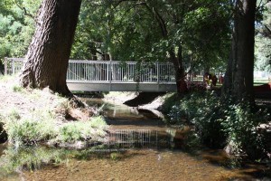 Celebrating the Grace Burn