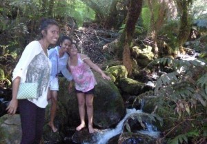 Thyme is right for Timorese