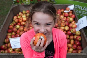 Hearty harvest