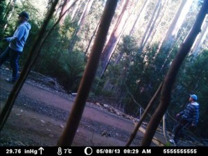 Shooting probe