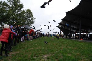 Gunning for gumboot record