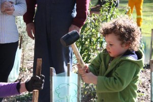 Dig in for tree planting