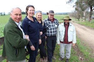 Silage sinks in
