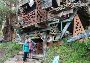 ‘Tree-house’ threat/Council targets ‘unsafe’ attraction