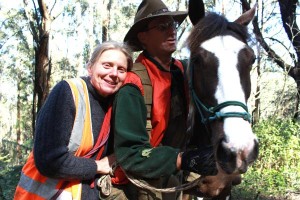Missing forest horse found
