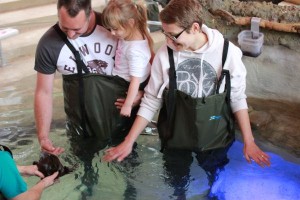 Family’s paddle with platypus