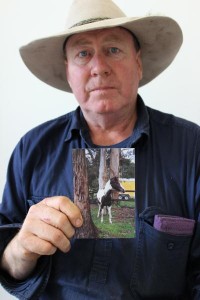 Saddle up for horse search