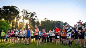 Marathon festival gears up