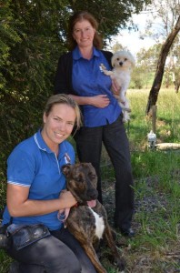 Dog laws unfair: aid agency