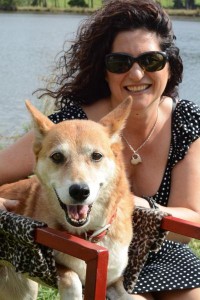 Dogs paralysed by rare bug