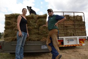 Hay bales sent to help