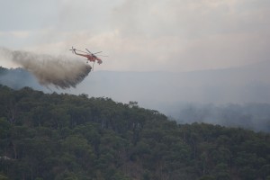 Healesville saved from bushfire threat