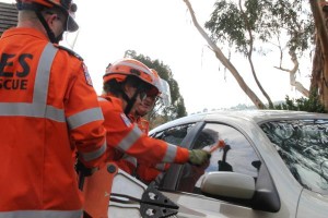 Hoons to the rescue
