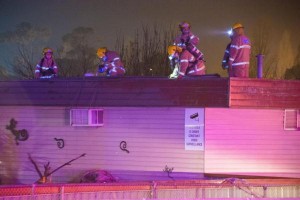 Fire kills school pets