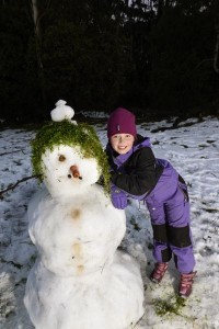 It’s all go for snow show