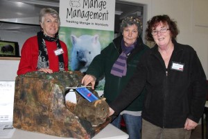 Tackling wombat mange