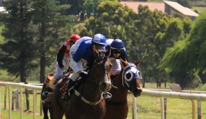 Race fun in the sun
