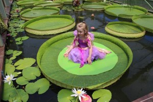 Blue Lotus a cool pad