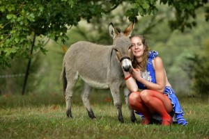 For love of the donkey