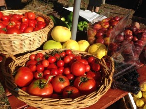 Get an organic fix