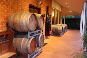Wild about food, wine