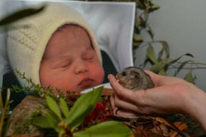 Hello possums – it’s a royal baby bonus