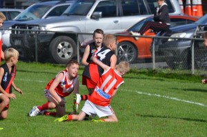 Healesville junior football
