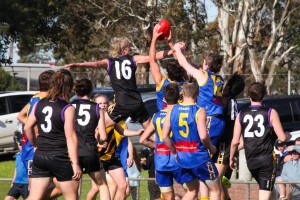 Interleague comp: cream hanpicked