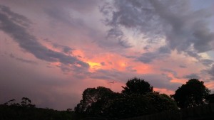 Lenscape