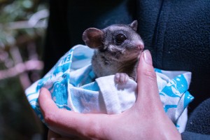 National park report comes under fire