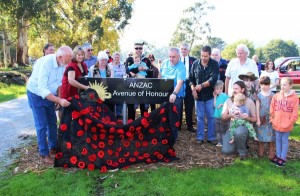 A shady spot that’s forever Anzac