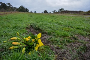 Teen pleads guilty to crash death of mate
