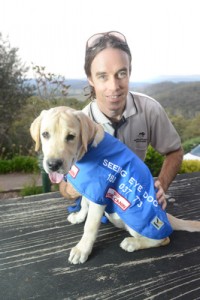 Puppies need a helping paw