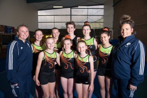 Valley gymnasts get state nod