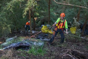 Green waste dumper cops fine