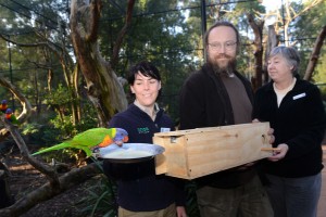 Jobseekers make birds a home
