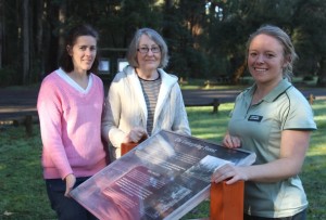 Big plans for little towns