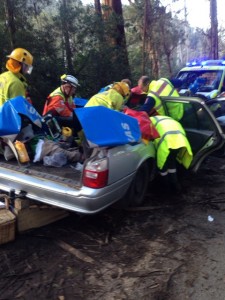 Car crushed under tree, teen hospitalised