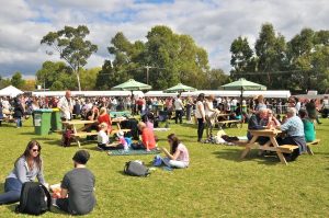 Beer and cider is back