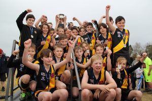 Tigers win cup in a thriller