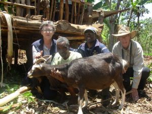 Dairy support for local villagers