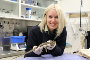 Amazing work of vet nurses