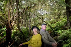 Wander through the bush