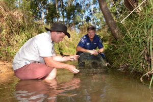 Plea to save platypus