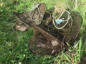 Deadly nets not on