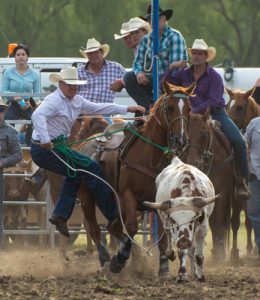 Action aplenty at rodeo
